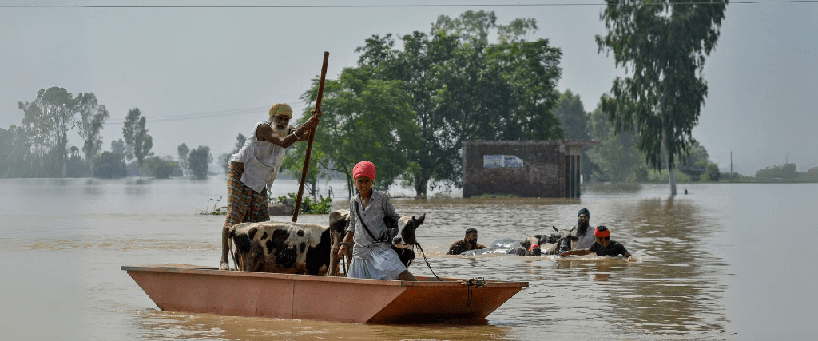 Stand With Punjab: Provide Urgent Aid to Gurdaspur Flood Victims